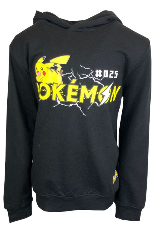 Pokemon hooded jumper