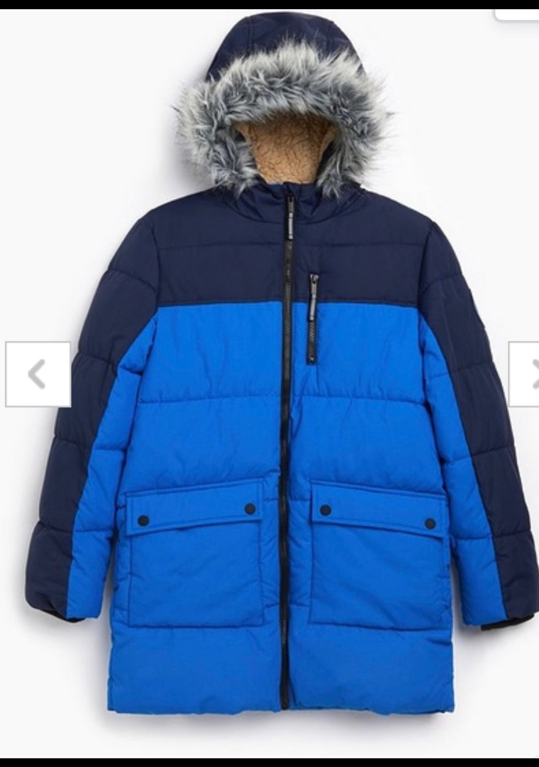 Albert winter coat