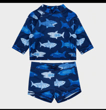 Load image into Gallery viewer, Shark uv sunsafe 2pc swimwear set
