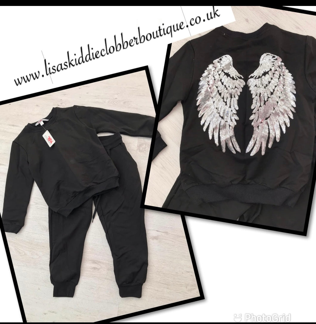 Angel wings set